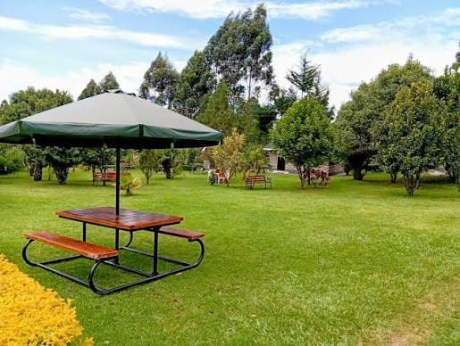 Picnic & Open Lawn Leisure
