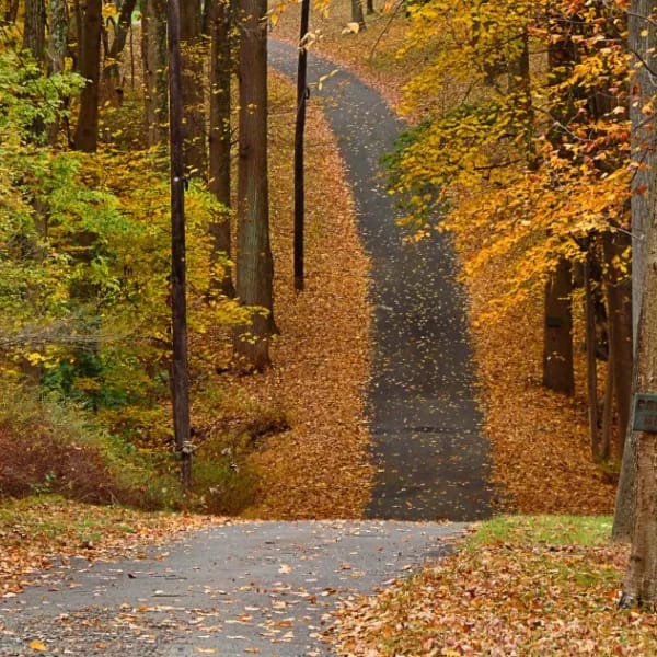 Highland Walking & Jogging Paths